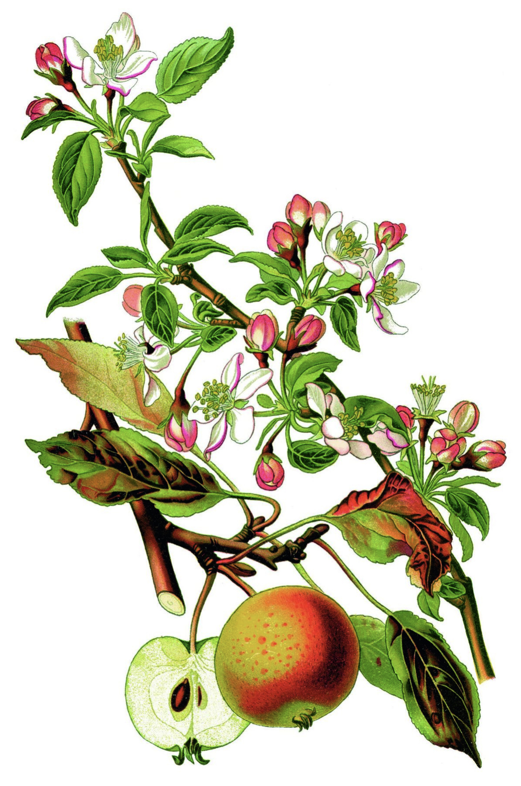 2023, titelthema, illustration