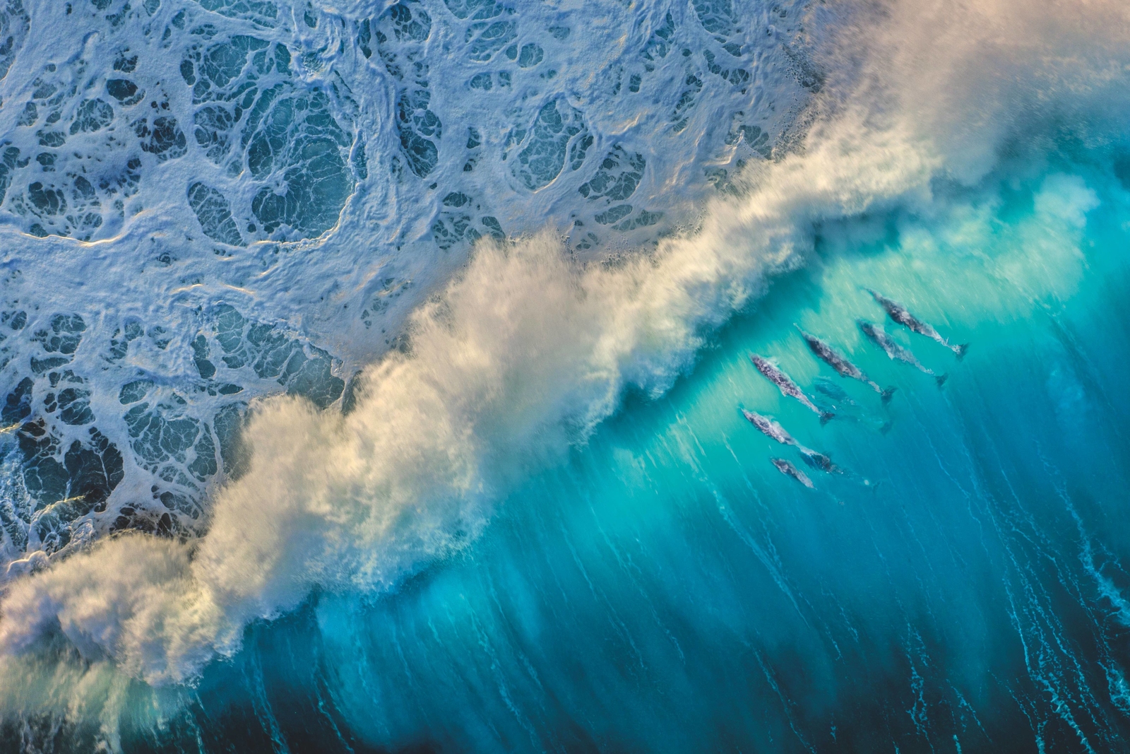 2022, Seeseiten: Das Meer in der Literatur, titelthema