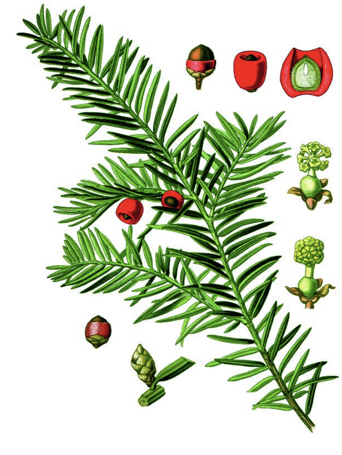 2023, titelthema, illustration