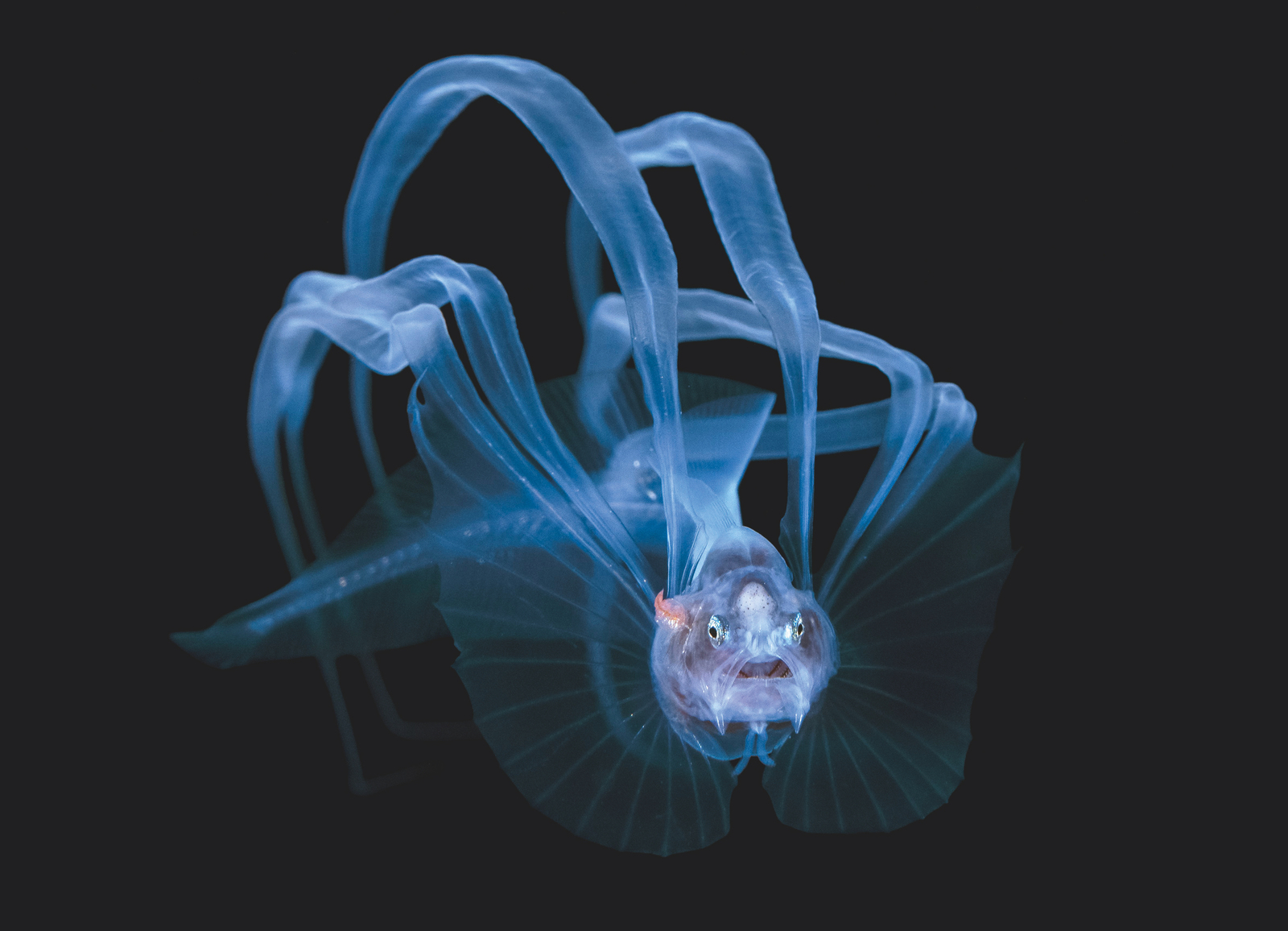 2022, Seeseiten: Das Meer in der Literatur, titelthema