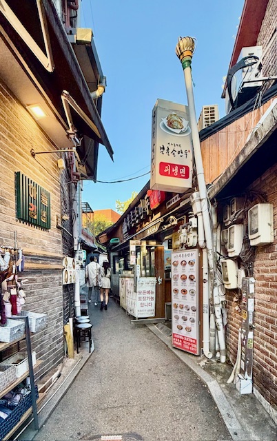 anne jacobs, weltreise, seoul