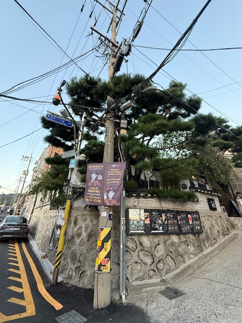 anne jacobs, weltreise, seoul
