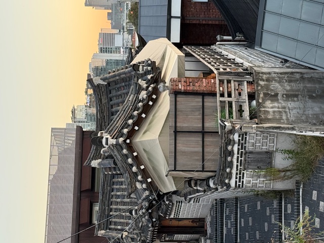 anne jacobs, weltreise, seoul