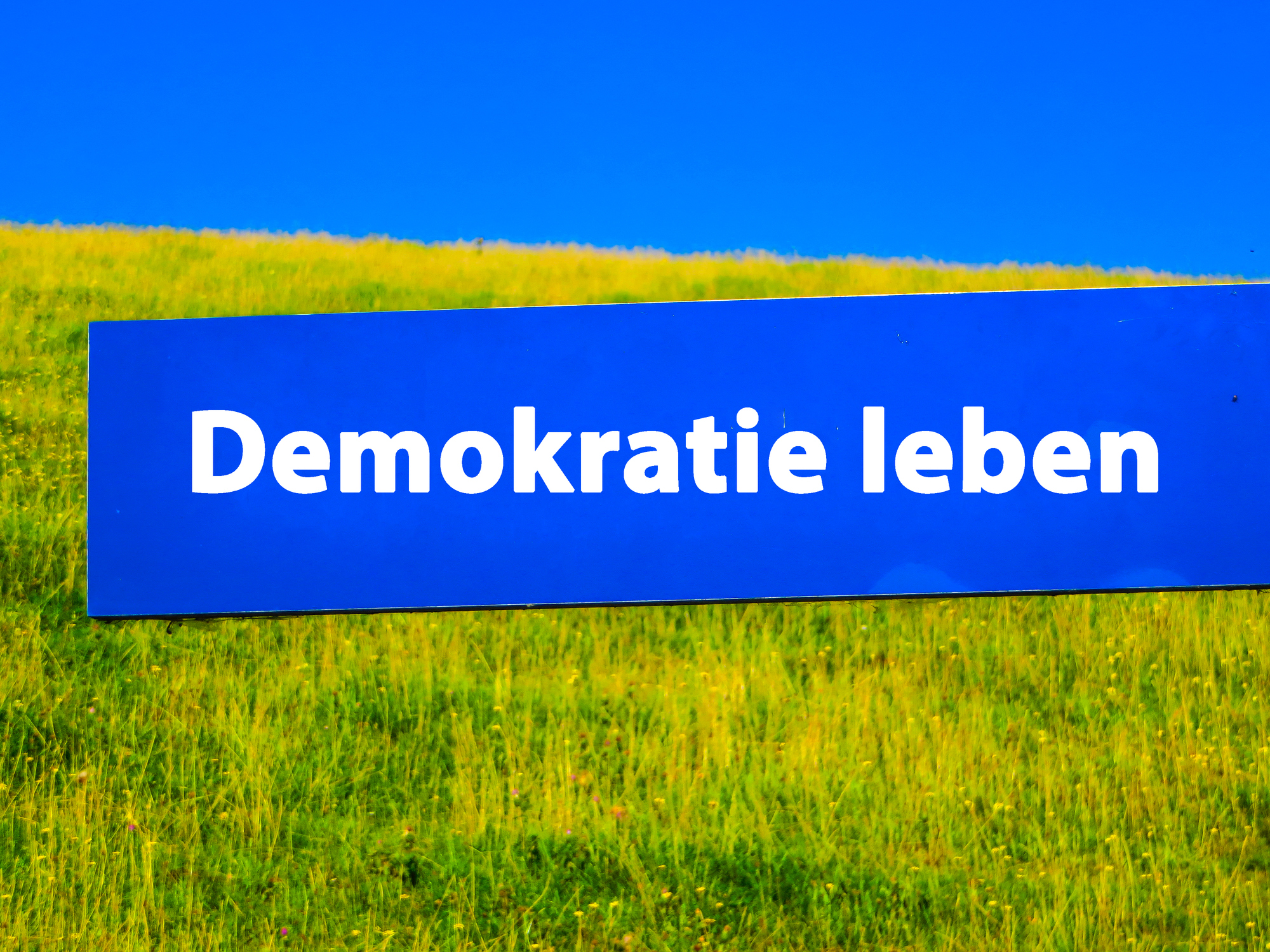 Die Demokratie in unserem Land zu stärken, dieser Aufgabe will sich der neue Themenclub stellen. Die Demokratie in unserem Land zu stärken, dieser Aufgabe will sich der neue Themenclub stellen.