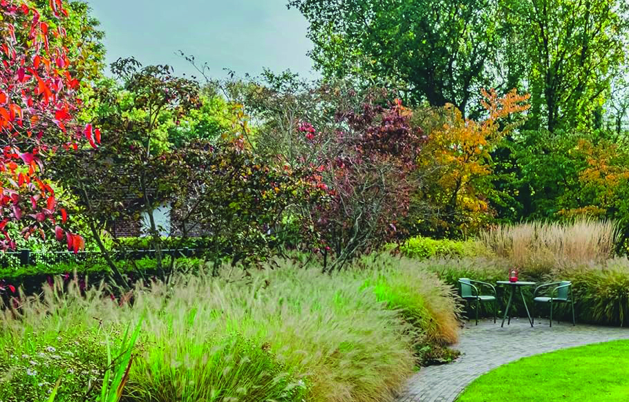 Susanne Wiborg/Konstanze Neubauer: Gärten des Jahres 2026