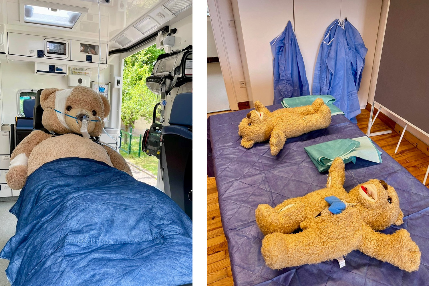 In der „Bären-Notaufnahme” wurden pelzige Patienten per Krankenwagen eingeliefert und später fürsorglich behandelt