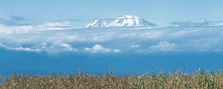 Rotary-Kilimandscharo-Expedition 2017 - Gipfelstürmer
