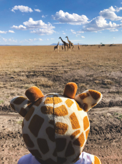 Augenblicke - Giraffe auf Reisen