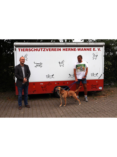 Distrikt - Rotary Club Herne hilft Tierheim in Herne-Wanne