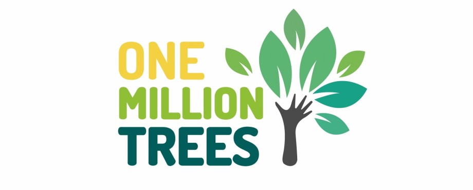 Panorama - BuSo 2020/21: One Million Trees