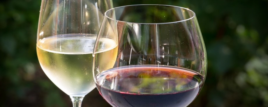 friendship — Wine for good - Ein Wein, der Gutes tut 