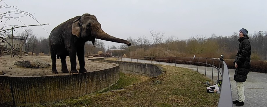 Kassel - Elefanten, Wale und das Kafka-Land