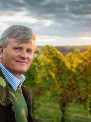 Über die Motivation eines Winzers - „Wein ist viel mehr als ein Agrarprodukt“