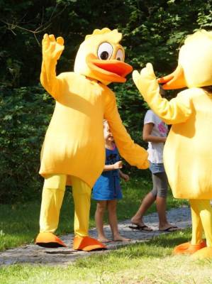 Weitra, Zwettl - Auf die Ente, fertig, los!