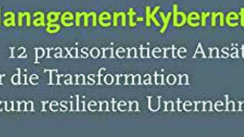 Management-Kybernetik