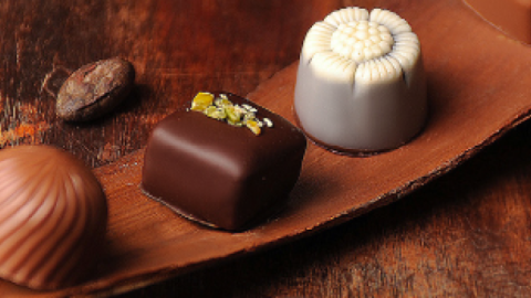 Für beste Schokolade: Von Hiddensee in die Lausitz