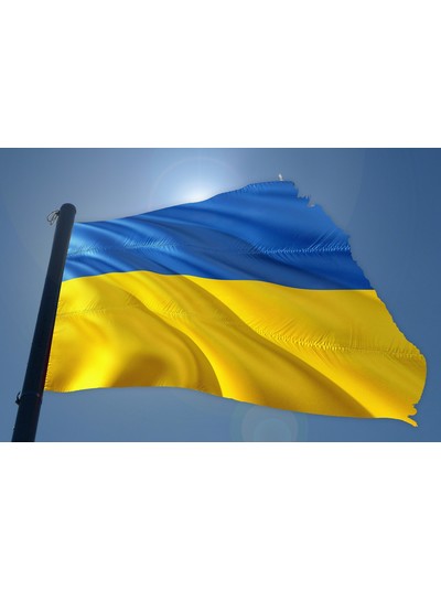Governorrat - Ukraine-Task-Force gegründet
