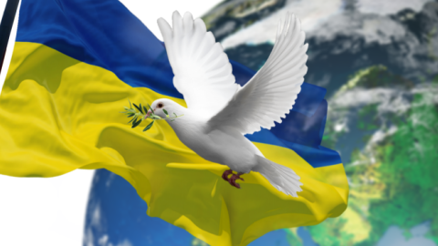 Freiwilligenschulung zum Projekt „Raum für ukrainische Flüchtlinge"
