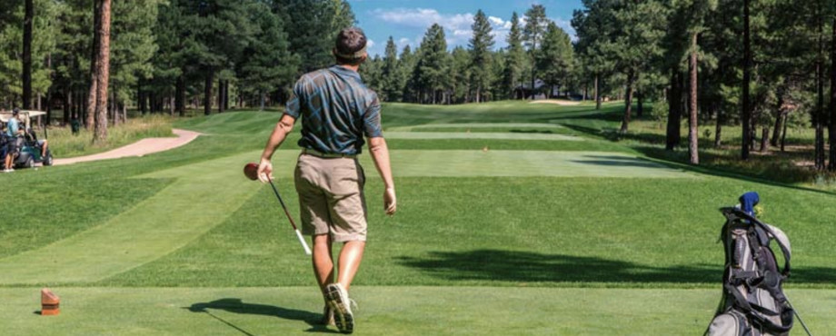 Rotarische Golfturniere 2022 - Endlich wieder golfen!
