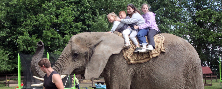 Rotary Action Day 2022 - Erlebnistag mit Elefanten