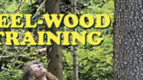 Feel-Wood-Training