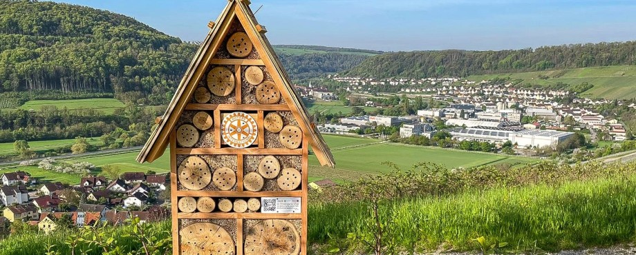 Engagement für Wildbienen - Wildbienenhotels für den Hohenlohekreis