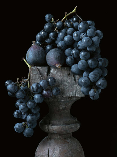 Titelthema - Die ewige Melodie des Weinbaus