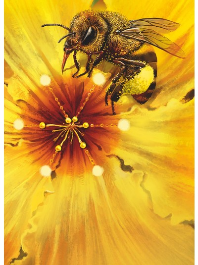 Titelthema - Wirtschaftskraft der Bienen