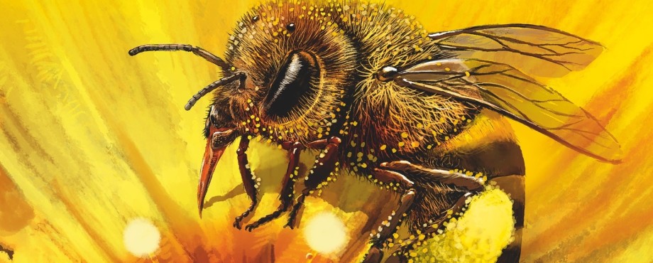 Wirtschaftskraft der Bienen