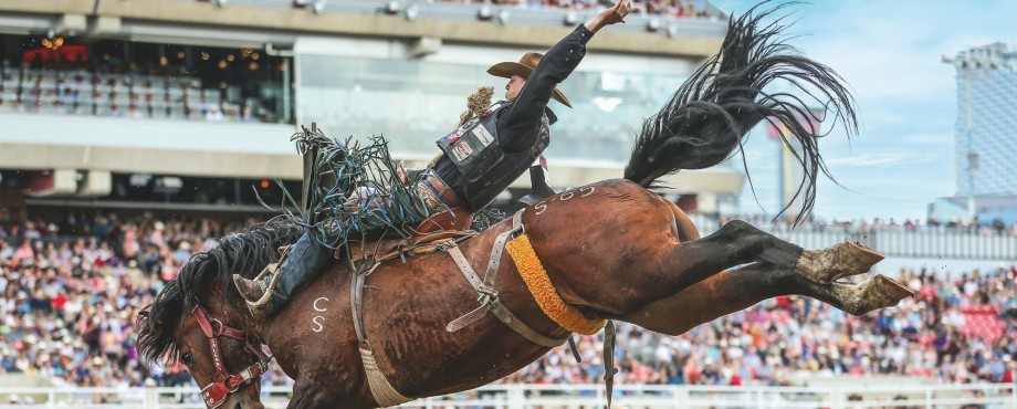 Kanadas Hauptstadt der Country-Musik und Cowboys