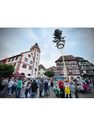 Mosbach - Ein Stamm trägt Früchte