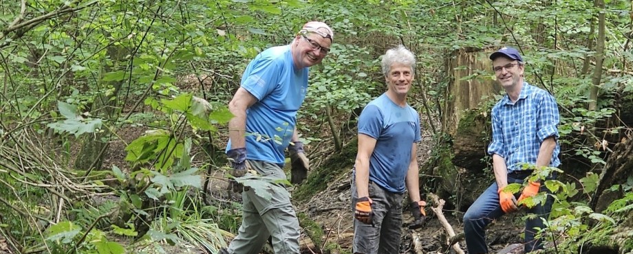 Totholz für mehr Naturnähe