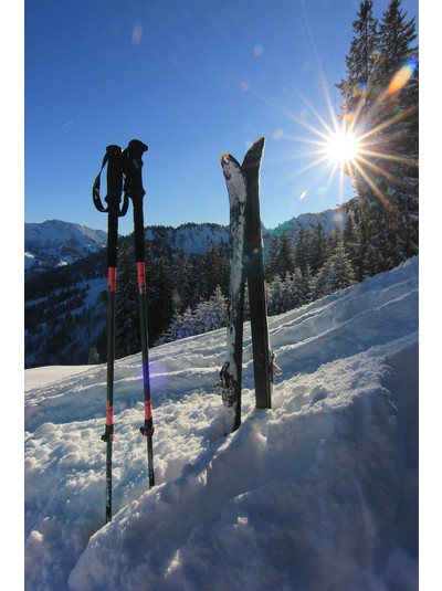 Panorama - Im Schneespaß