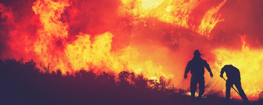 Los Angeles: Rotary hilft Opfern der Waldbrände