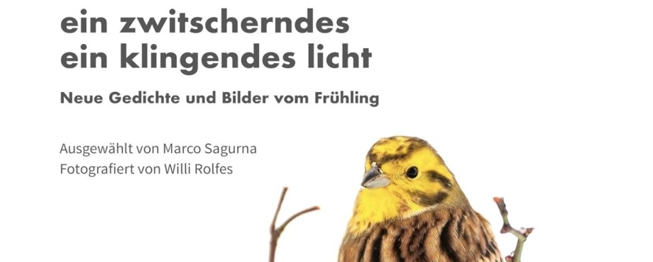 Ein zwitscherndes ein klingendes Licht