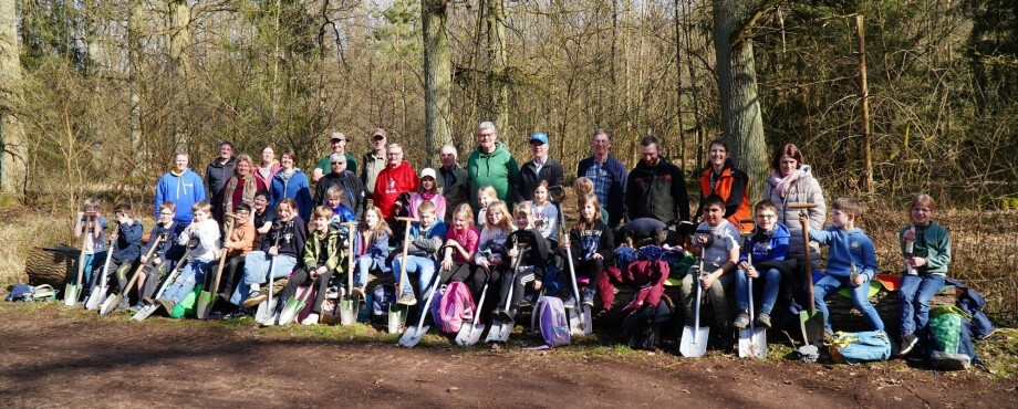 100 junge Eichen fürs Burgdorfer Land