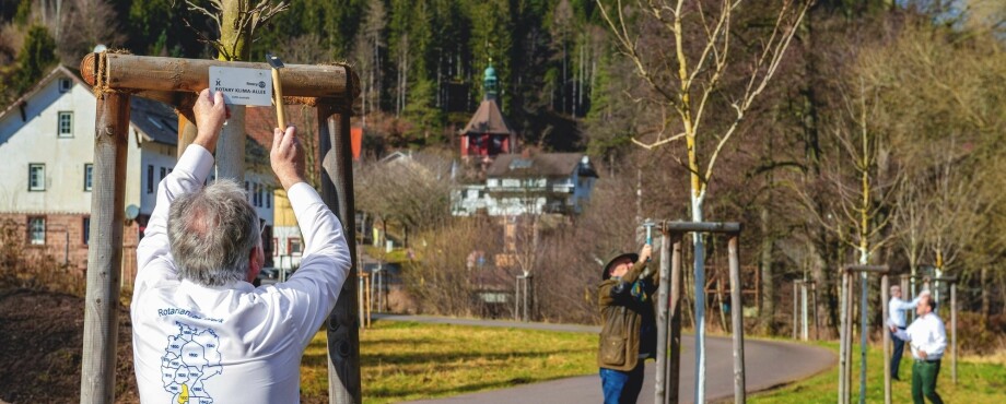 Rotary vor Ort