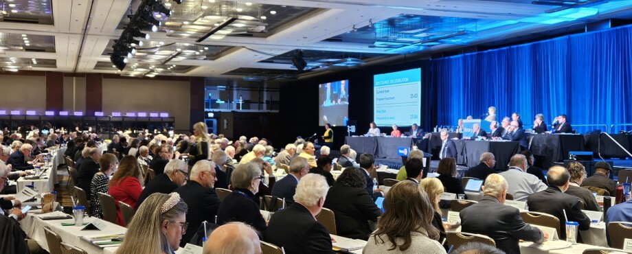 Council on Legislation