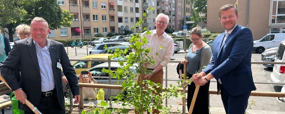 RC Nürnberg-Reichswald - Ein Ginkgo für den Frieden