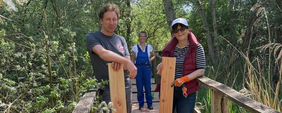 Die Magie von Rotary lebendig werden lassen