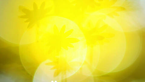 Dem Glück nachgedacht