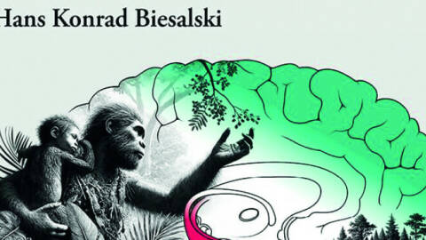 From Ancient Diets to Modern Minds