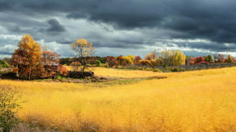 Kunstvolle Fotografie