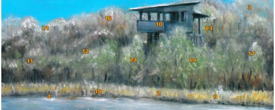 RC Bremervörde-Zeven - Adventskalender des RC Bremervörde-Zeven