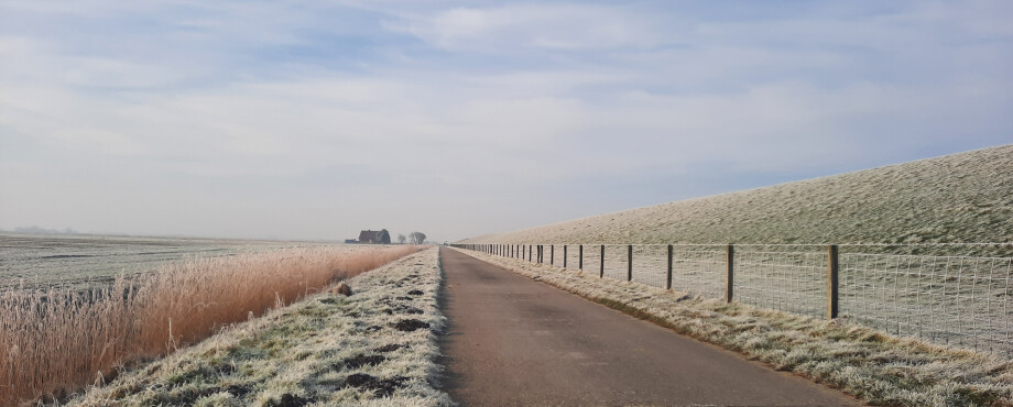 Winterliche Morgenstimmung