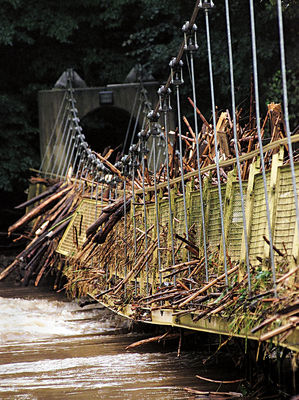 Anmerkungen zu einem umstrittenen Thema - Die Flut und der Ausbau der Flüsse