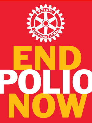 Online-Video - Experten sprechen über Polio