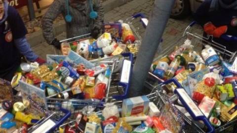 Rotaracter in Hessen sammelten Lebensmittel