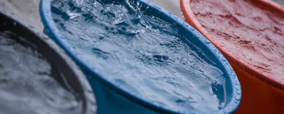 Wasser-Institut - Rotary und UNESCO stellen ersten Abschlussjahrgang vor