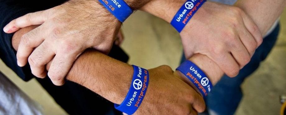 Rotary Global Peace Forum - Völkerverständigung erleben